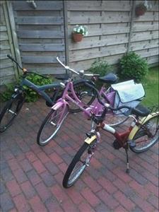 Stacaravan (6 pers) aan zee camping De Watersnip in Petten (NH) incl. gebruik fietsen